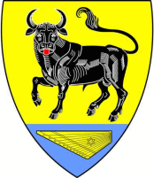 Герб Большая Вруда